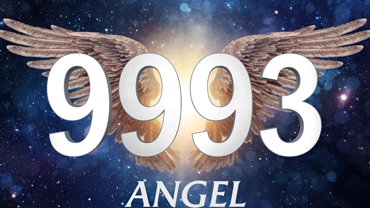 9393 Angel Number Meaning