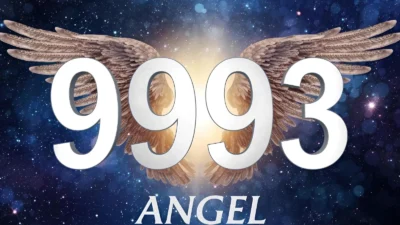 9393 Angel Number Meaning