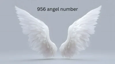 956 angel number