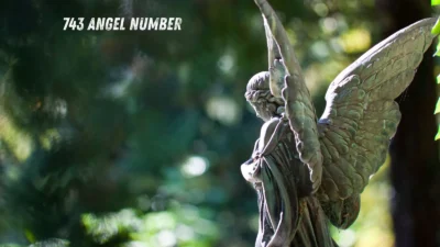 743 angel number