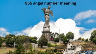 955 angel number meaning