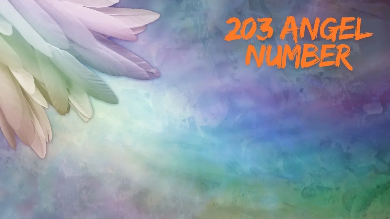 203 angel number