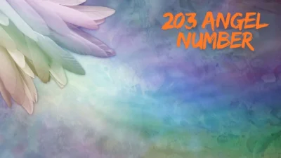 203 angel number
